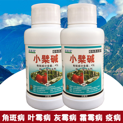 小檗碱杀菌剂 角斑病白粉病霜霉病疫霉病褐斑病100ml 生物农药