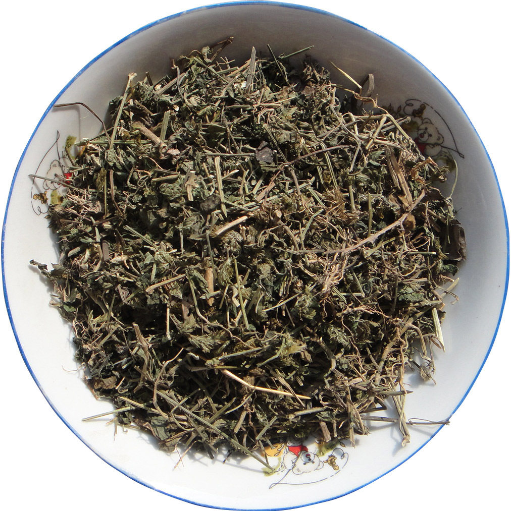 野生豆腐柴 观音草 腐婢 臭黄荆 豆腐木豆腐叶 观音