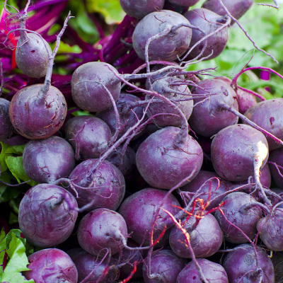 【甜菜根种子】荷兰 红甜菜头 紫菜头种子 红菜头减肥蔬菜 红甜菜