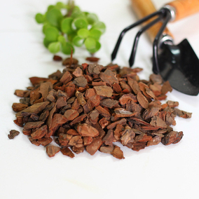 大包松鳞松树皮兰花 蕙兰蝴蝶兰铁皮石斛墨兰下山兰营养土