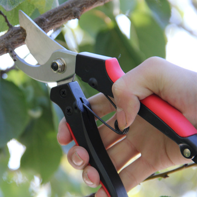 原装正品台湾佐川吉修枝剪 树剪 多用剪 818园艺剪刀修枝剪果树剪