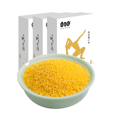 郑家屯黄小米 东北有机黄小米新米 五谷杂粮 月子米黄小米400g×3