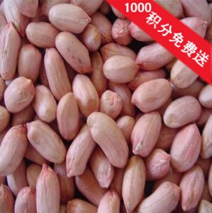 春旺山东大花生 生鲁花 2015年红已售0件