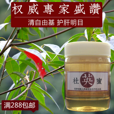 荒野牧蜂人丨杜英蜜丨清除自由基 护肝明目 新出山纯天然土蜂蜜