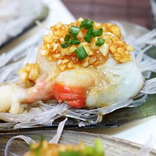 海捕野生带子280g 海鲜贝类水产扇贝肉 大扇贝 半壳带子海鲜水产