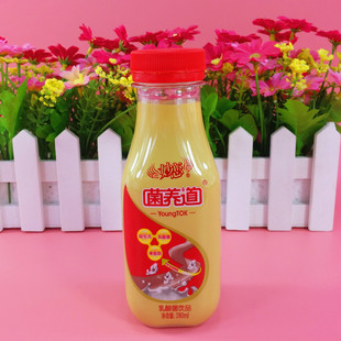 禮盒 飲料 小洋人妙戀菌養道發酵型乳酸菌飲品280ml/瓶禮盒裝