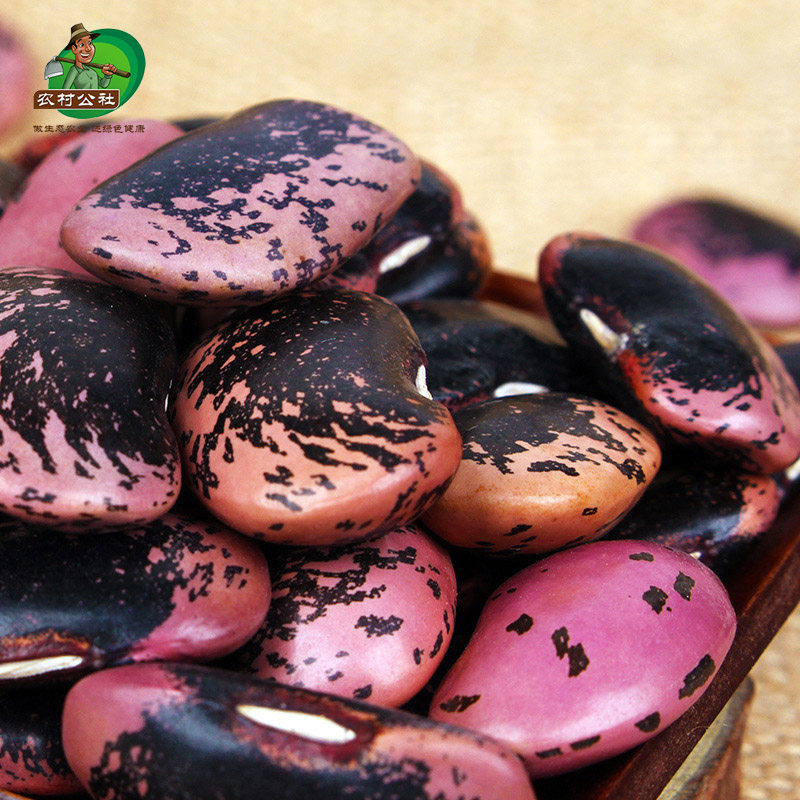 包邮 买3送1 万源大巴山野生山岩豆 崖豆 原生态无污染 天然富硒