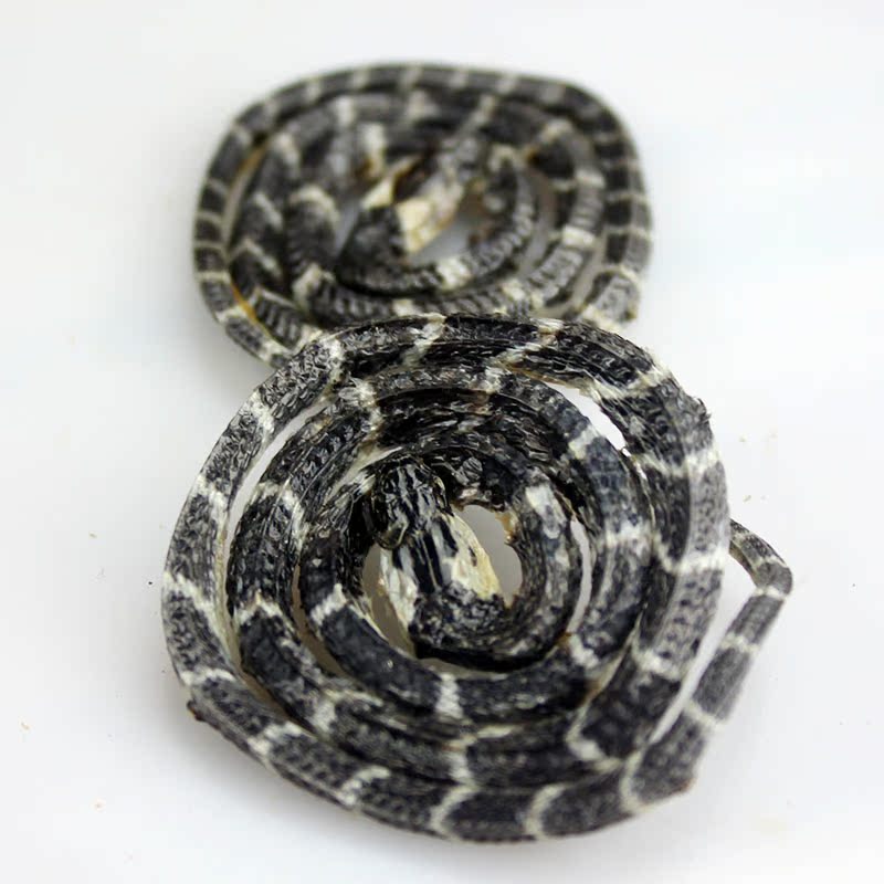 金钱白花蛇 中药材金钱小白花蛇1只55元