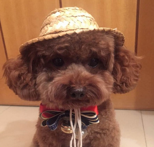 宠物草帽狗狗帽猫咪帽子 宠物帽子夏威夷风情 泰迪比熊草帽太阳帽