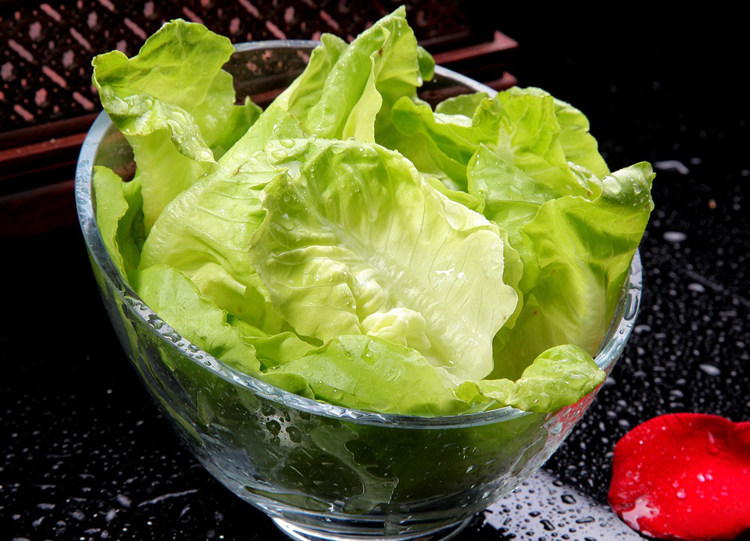 新鲜蔬菜奶油生菜 牛油生菜 超嫩 西餐配料500g