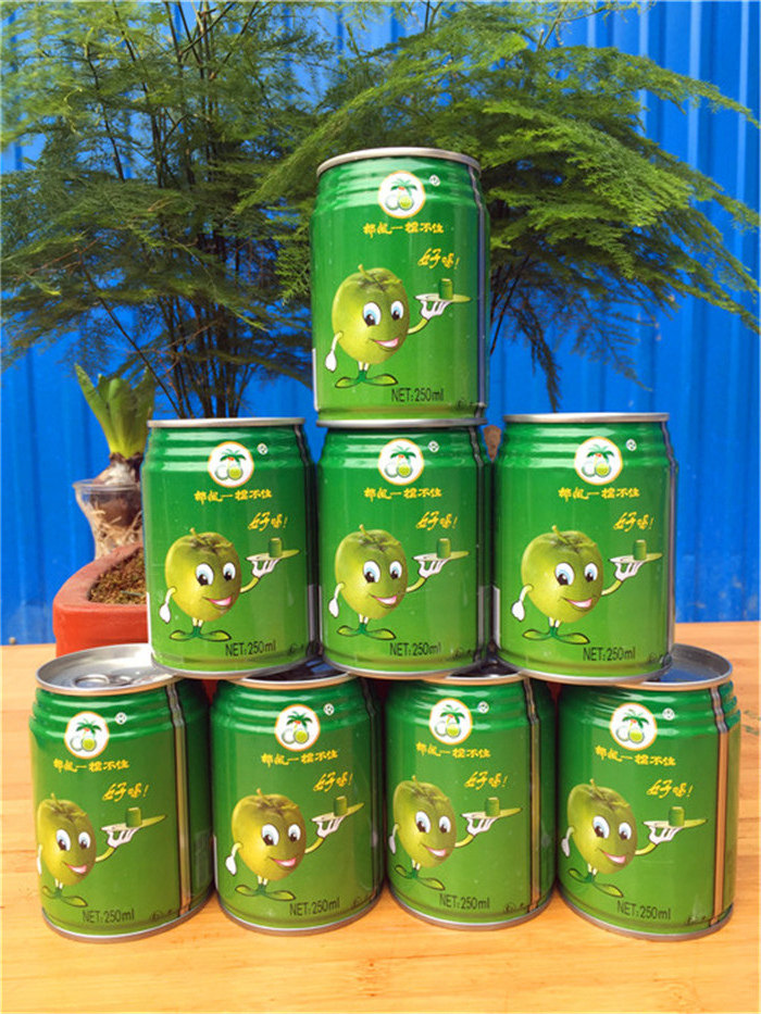椰风挡不住饮料芒果汁250ml*8罐,正宗天然.8罐全国包邮,粒粒多