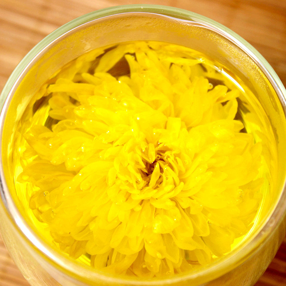 2016新花上市一朵一杯金丝皇菊10朵装江西贡菊婺源黄菊大菊花草茶