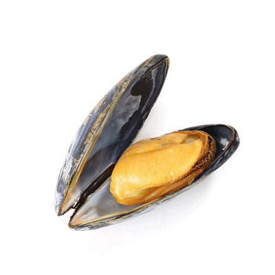 网潮海鲜 舟山海鲜 新鲜野生 贻贝 青口贝 海虹 鲜活大淡菜500克