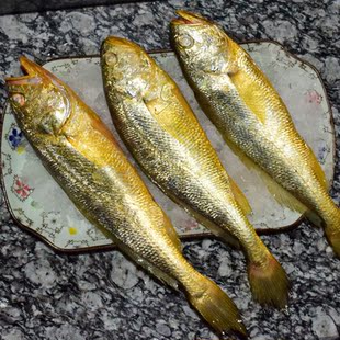 黄花鱼 野生黄花鱼 每斤2-3只 每条3-5两 每份1斤 2斤包邮
