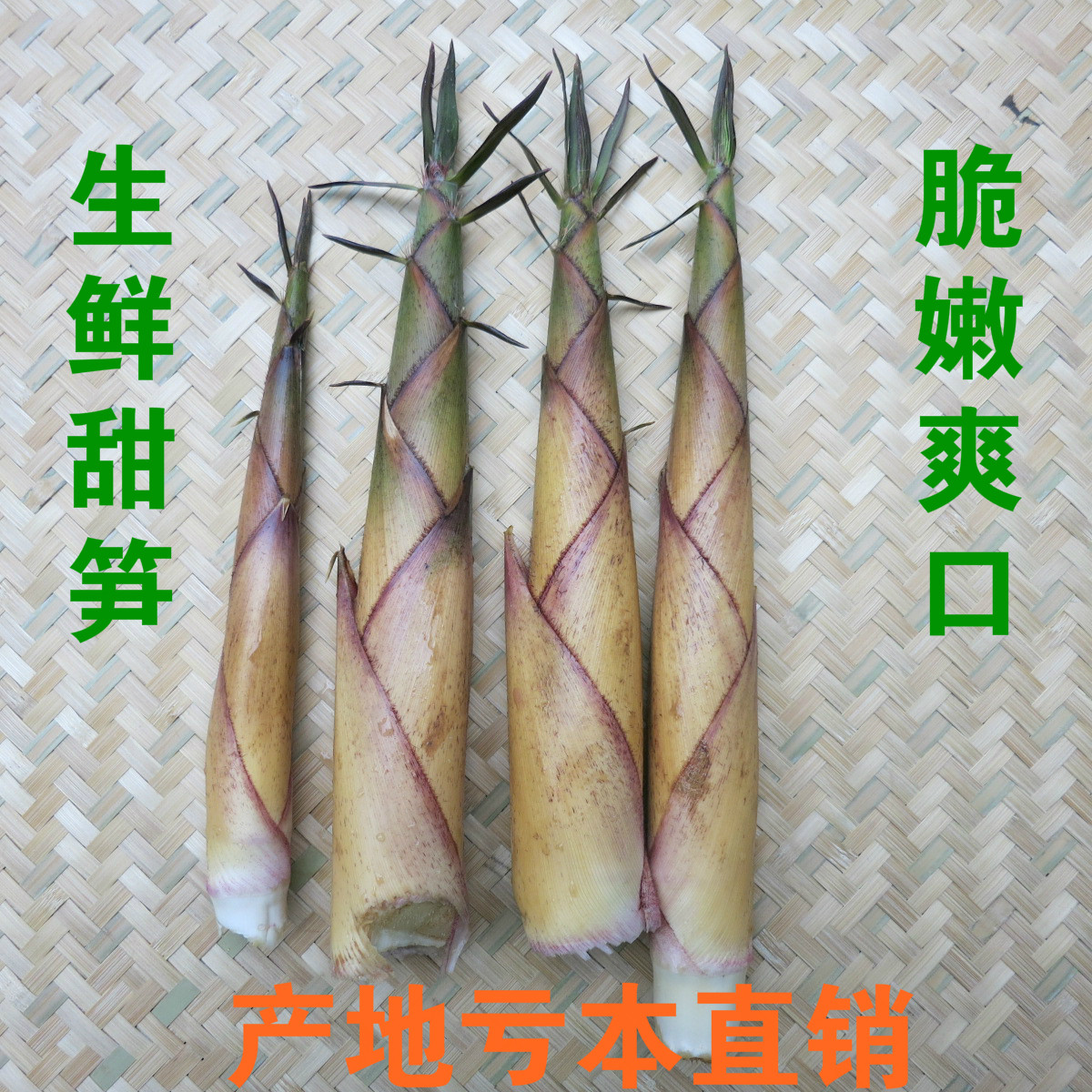 春笋图片小笋,春笋图片(第3页)_大山谷图库