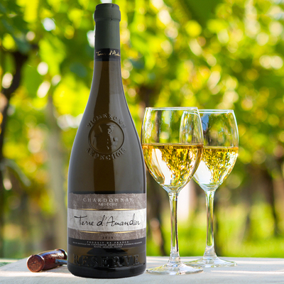 原装进口 法国南部阿尔岱雪(精选)莎当妮干白葡萄酒