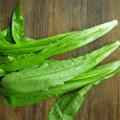 香麦菜/油麦菜500克,新鲜蔬菜,菜市场沃鲜汇 生鲜超市