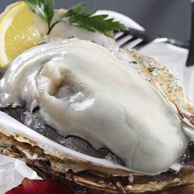 冰岛纯净生蚝16只装 江浙沪皖顺丰包邮刺身级活蚝发货购2份送蚝刀
