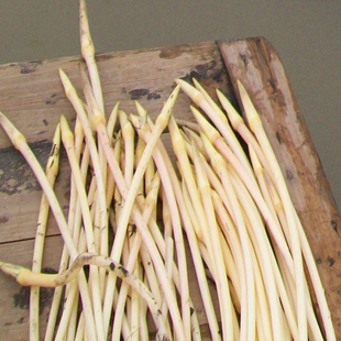 顺丰包邮舌尖中国新鲜藕带洪湖藕尖藕稍子嫩藕带5斤装2015