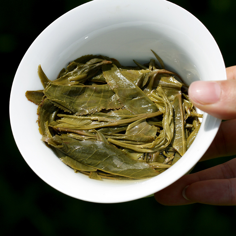 2016春茶景邁古樹茶純料 雲南普洱茶 生茶 小沱茶龍珠8g/顆 茶葉