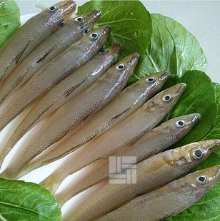 野生海魚 當天現捕海鮮水產魚類1份1斤 沙丁魚沙鑽魚 3斤包郵