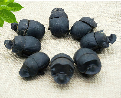 中药材野生大将军 屎壳郎 胡蜣螂【净货 干净 无盐子】50克淡水