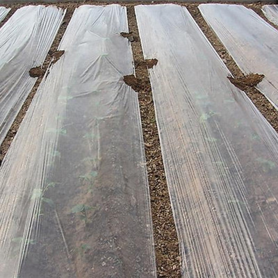 农用白色透明塑料布塑料薄膜黑色地膜中膜加厚膜无滴大棚塑料膜