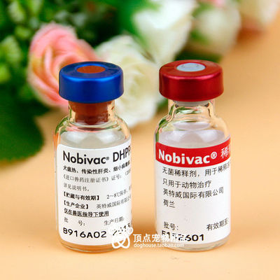 荷兰进口英特威四联活疫苗 狗疫苗 宠物疫苗 四川销量第一 发顺丰