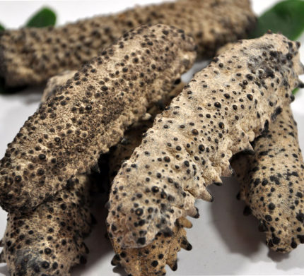 酒店干货 澳洲梅花参 刺参进口深海野生海参淡干 500g 批 发包邮_7折