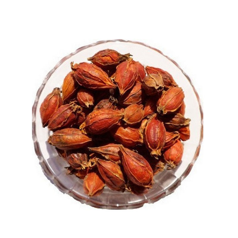 山枝子栀子花茶野生支子白蟾越桃黄鸡子玉荷花大红栀非化工水栀子