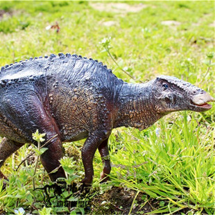 大王pnso 玩具模型 恐龙大王 满洲龙 全新现货