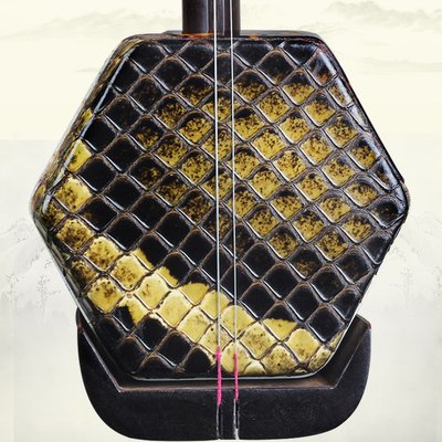 致雅苏州二胡 初学进阶嵌银丝真蟒皮红木二胡乐器送琴盒全套配件