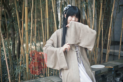 若兮汉服2014金凤灯笼纹妆花马面裙