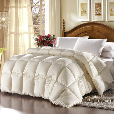 正品牡丹仙子韩版田园加厚被子冬被保暖双人被芯超细纤维棉被包邮