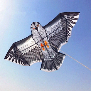 6/3.8米永健天堂鸟小钢鹰老鹰风筝 上海李氏风筝
