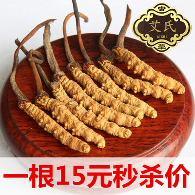 艾氏冬虫夏草 正宗青海祁连山 野生正品雪域虫草8条/克 按根卖
