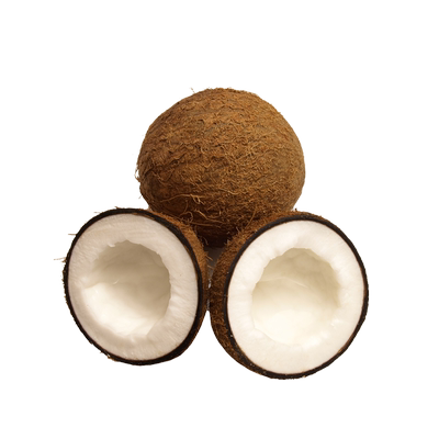 正宗云南西双版纳热带雨林毛椰子新鲜椰子去皮毛椰子2-3个 2.5kg