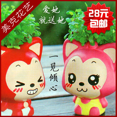 精品阿狸草头娃娃/小花迷你盆栽新奇创意植物/心形草情思草防辐射