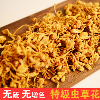 虫草花孢子头特级 北虫草正品批发500g 精选产地蛹虫草北冬虫夏草