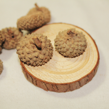 dreamy手工营 diy 羊毛毡 戳戳乐配件 橡果帽 橡果壳 1.5元10个