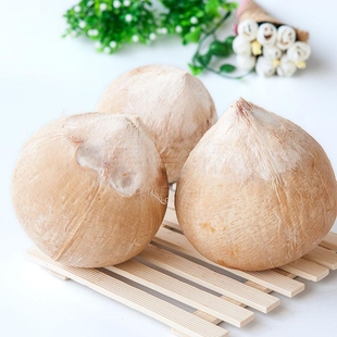 泰国风味正宗椰皇椰子奶椰5个低卡低糖奶香十足全国包邮