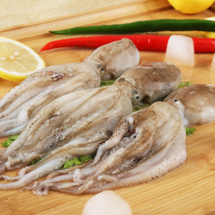 小哥鲜生丨八带鱼鲜活 活章鱼 八代鱼新鲜 八爪鱼 真蛸长蛸 500g