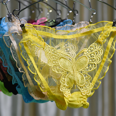女士内裤网透