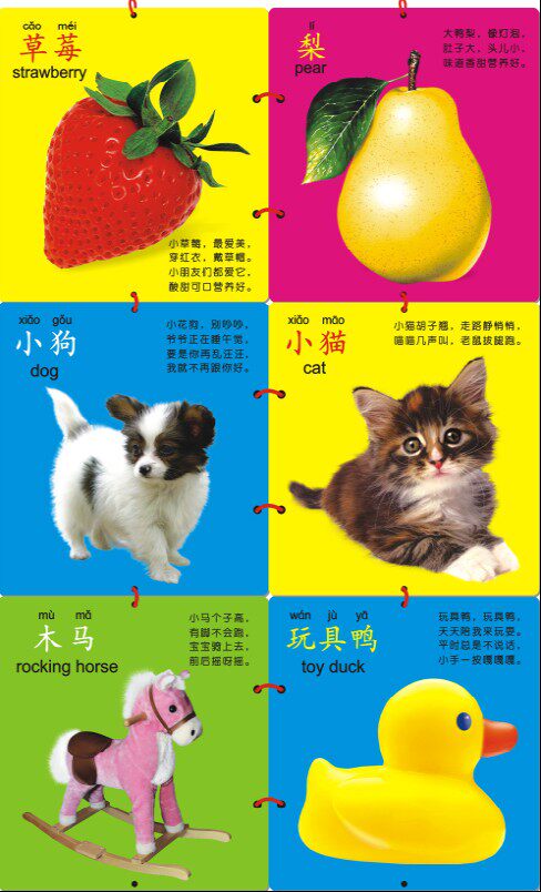 6册启蒙认知大卡礼盒装 0-3岁宝宝早教识字卡片 3-6岁儿童看图识字