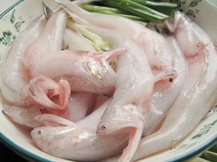 海鲜 东海新鲜水潺 龙头鱼 豆腐鱼 宝宝辅食肉嫩刺少 海鲜批发500g