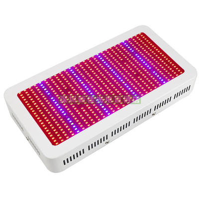 全光谱led植物生长灯 600w 大棚 室内多肉组培育苗 大功率补光灯
