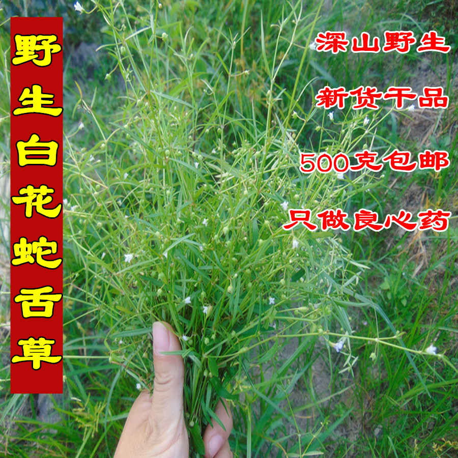 新貨野生白花蛇舌草正品中藥材百花蛇舌草羊須草500g包郵