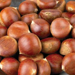 新鲜京东生板栗农家大栗子非糖炒仁正宗河北唐山1500g装清仓包邮