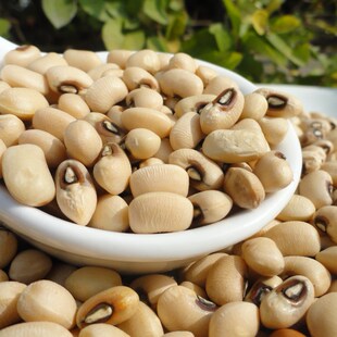 金冠新品:云南特产眉豆*白豇豆*白豆*白饭豆500g/无锡网上粮店