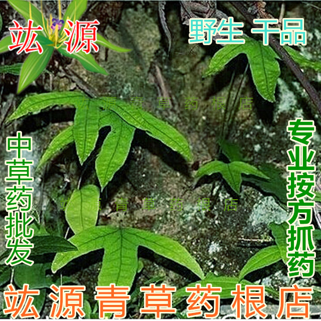 竑源青草药根店 中草药 中药材 野生 鸡脚叉 三叉剑 三角风 干货